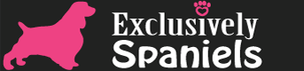 Exclusively Spaniels